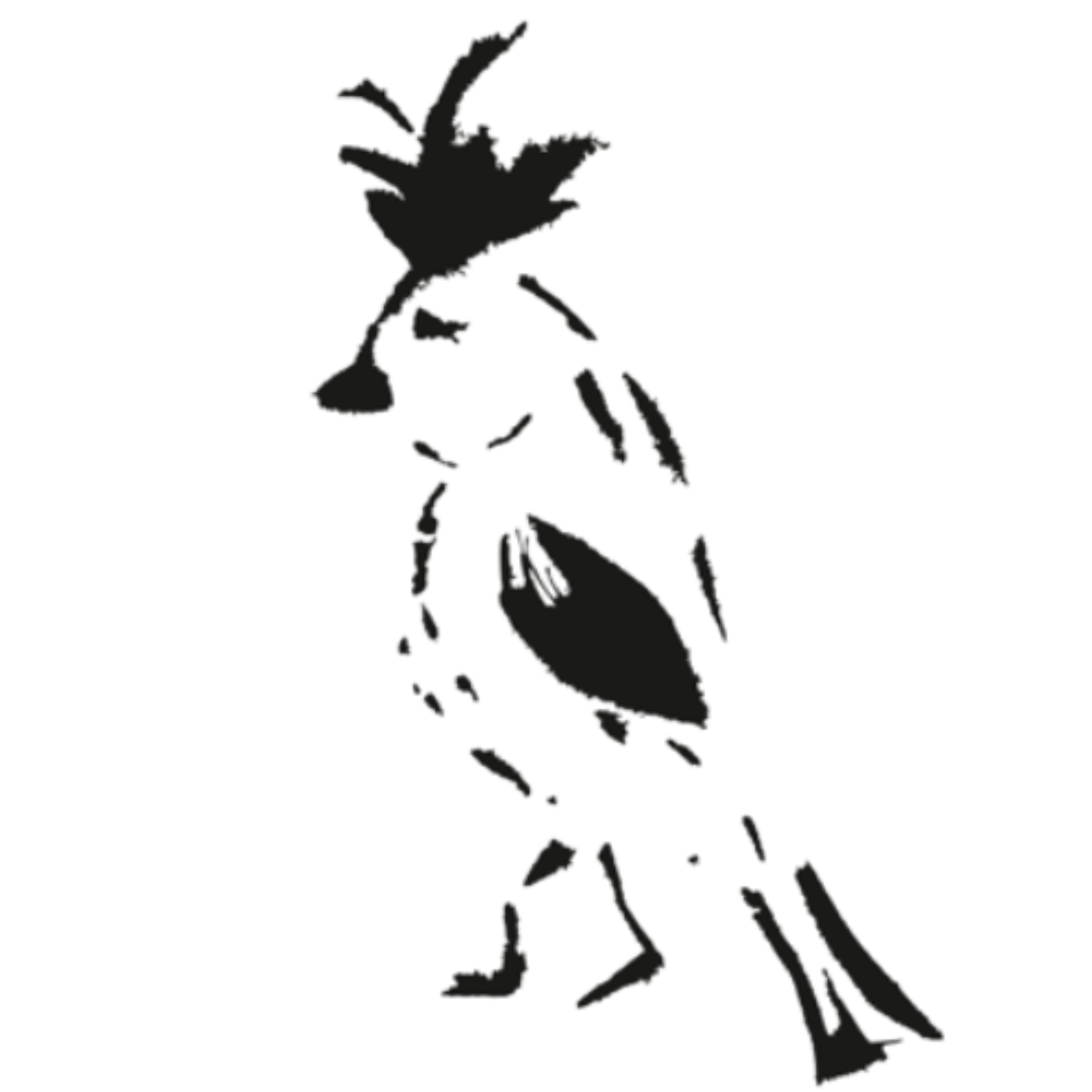 PMDD-Motiv-Schmidt
